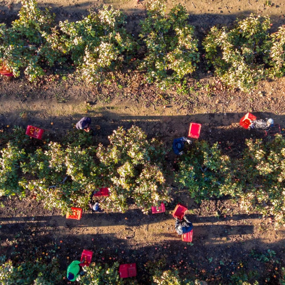 DJI_0013