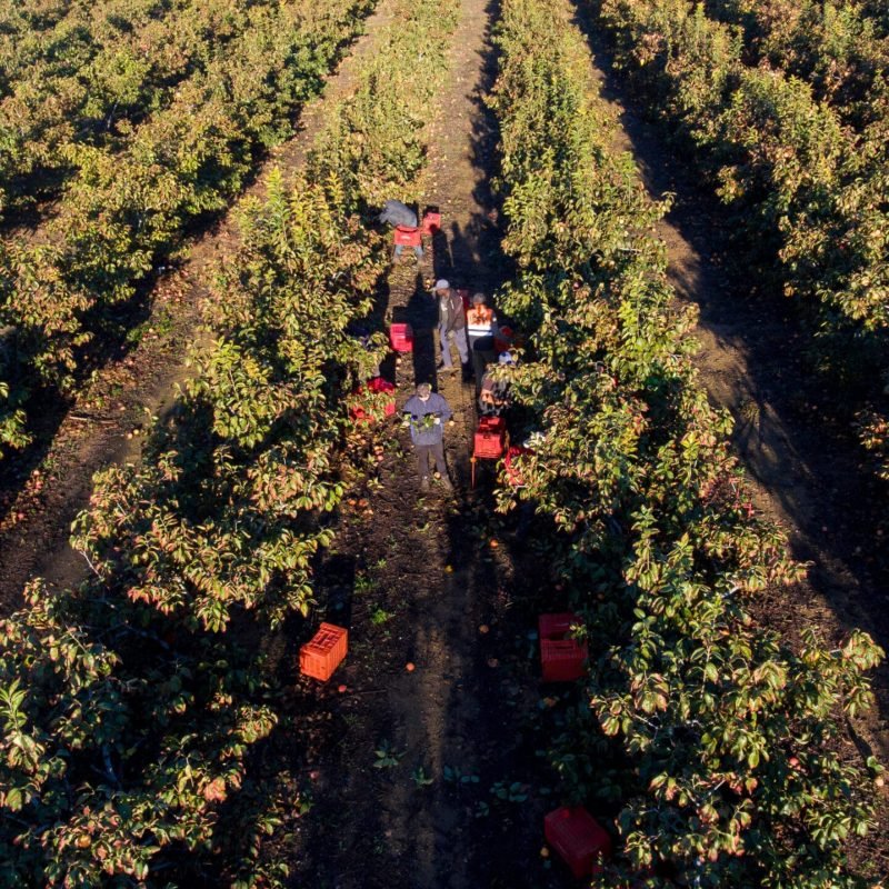 DJI_0017